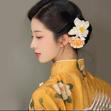 shenyelanxiaojie