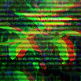 shalan_snownoise