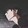 chenwanyu-