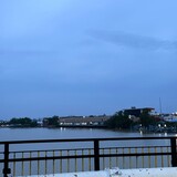 Maira Nini (Mairaaa)