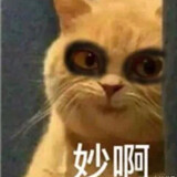 qingzhouxiaocaiyummy