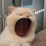 โอหาโยะ โอเนจังงง