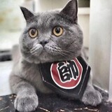 yizhi-lao___a