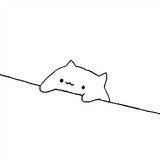 cccurry__