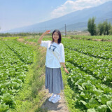 xiaoniuluanzhuangn