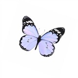 feifeibushifeifei