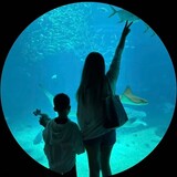 wozuiaidexiao___dou