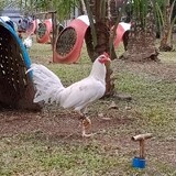 Mark niño Ventu_6988