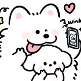 zhizhi_z
