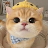 reirise_05