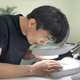 yanfushishizhanggen