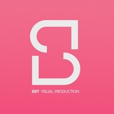 sdt_visual