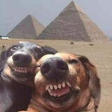 Janelle Mendoza_8172