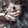 Ngocanh Phan_9015