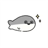 shaohuifsh