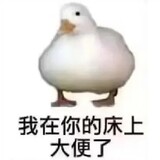 yueshiba_