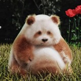 moxianghuimeng