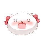 lhbbuxianghuahua