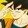 kakarotto-