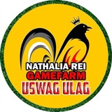 UswagUlag