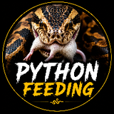 Python_Feeding