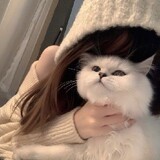 luxinmi