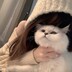 luxinmi