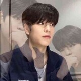 chengkendeshuizhudan