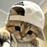 crs-kun
