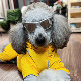 ____dawang