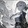 gsw_of_03_01