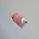 _____ethoe_02