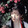 nalijiang