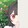 shiruho_05