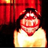 Dark-Web-Indonesian