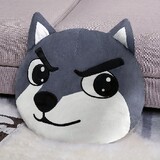 kuaileshoujizhuanjia