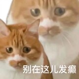 toutoutoukayi