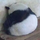 xiongmiaomiaopanda_l