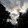 galleto_jason