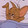 ___helaow___ia