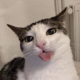 Miawchl