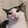 Miawchl