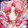 taowanan
