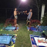 Backyard.Breeder