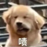 xietehaokun