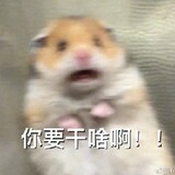 guoranshicaobao