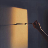 fuguangshadow_