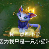 ruanfufudexiaoxiannv