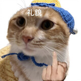 daytoydaitaotao