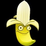 xiaoshuaibujiangwude